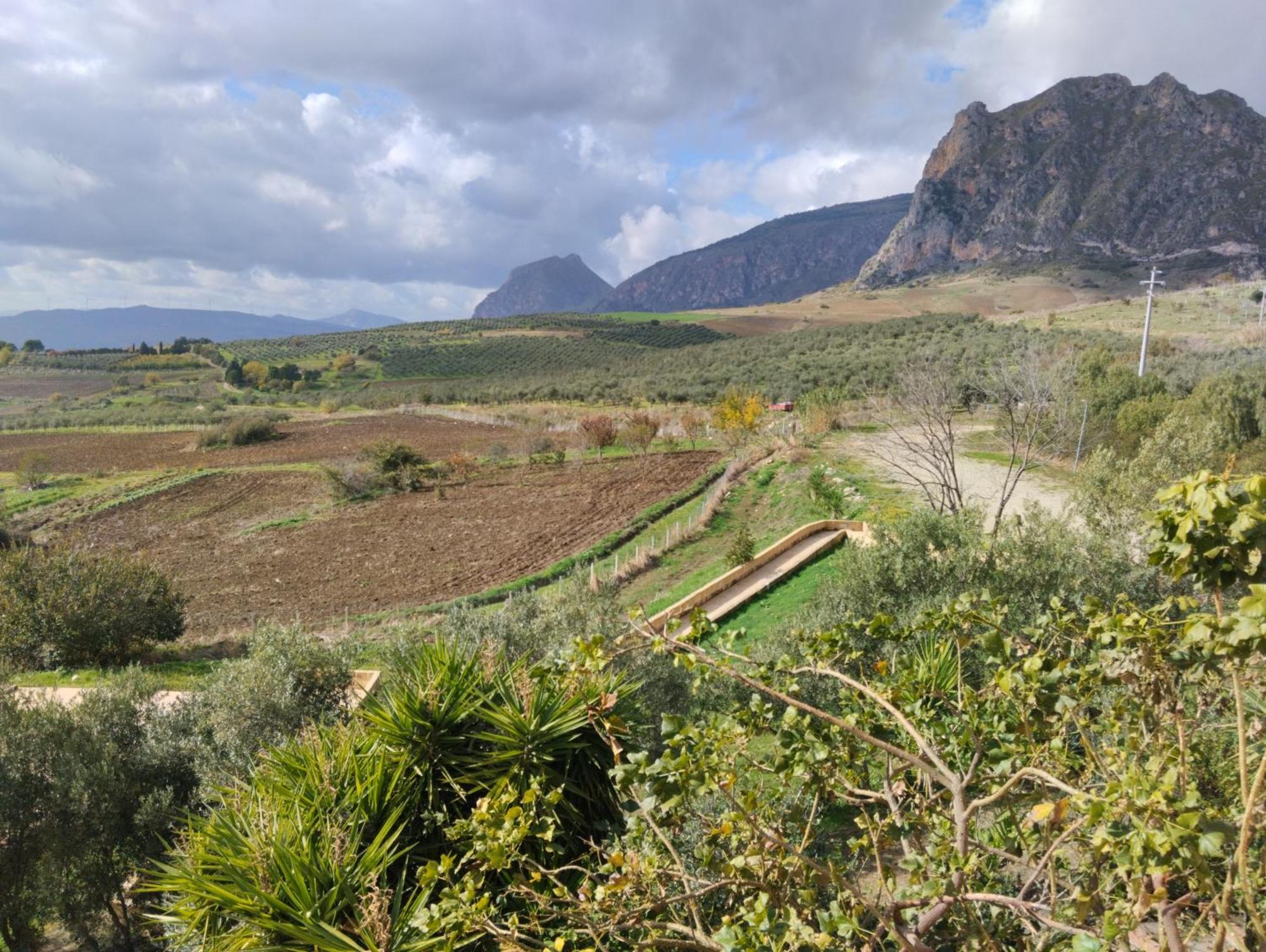 Agriturismo Masseria La Chiusa San Giuseppe Jato Dış mekan fotoğraf